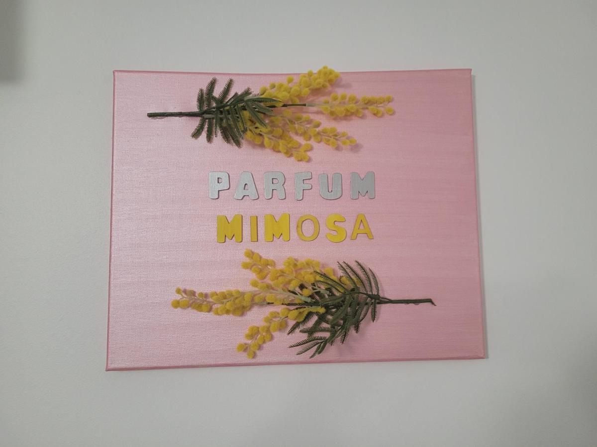 Parfum Mimosa Daire Grasse Dış mekan fotoğraf